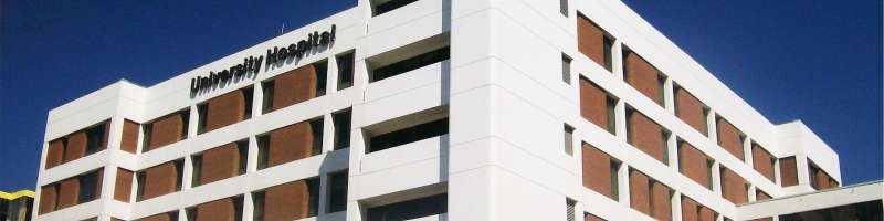  Hotel and Hospitality